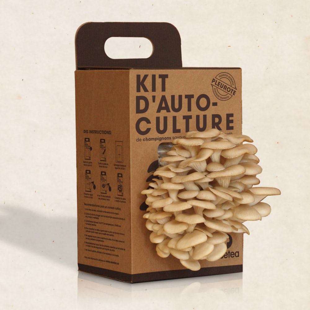 Kit d'auto-culture de champignons Pleurote - Resetea